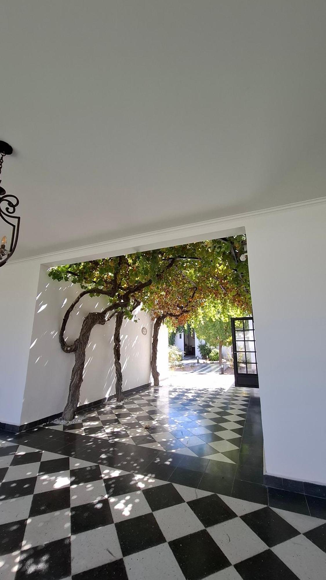 Viamonte Winery Lodge Chacras de Coria Buitenkant foto